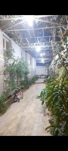 Zahrada ubytování دار الكرم للمبيت والافطار