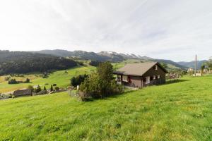 a house in a field with mountains in the background at Steinrüti in Wildhaus