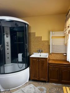 a bathroom with a shower and a sink at Zacisze u Małgosi in Augustów +44 photos