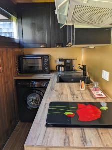 una cucina con piano di lavoro e forno a microonde di Perce-neige a Murat-le-Quaire Altre 19 foto