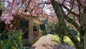 a garden with pink flowering trees and a pathway at Hotel Rural VN Casal in Pontevedra