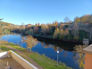 a view of a river with trees and buildings at Cosy T3 spacieux in Aubin