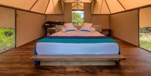 a bed in a tent with two windows at Kodev in Kalpitiya