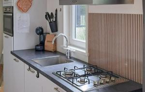 Η κουζίνα ή μικρή κουζίνα στο 3 Bedroom Awesome Home In Heinkenszand