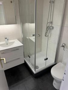 ein Badezimmer mit Dusche, Toilette und Waschbecken in der Unterkunft Ostsee Apartment mit Meerblick in Sierksdorf