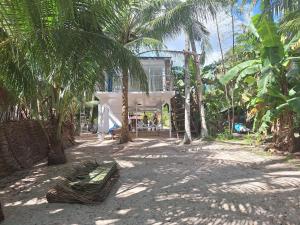 a building in the middle of a yard with palm trees at Remy's Eco house in Hernani