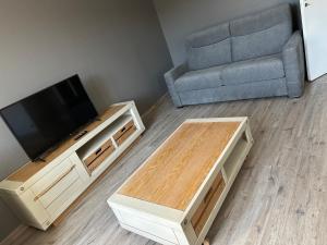 TV a/nebo společenská místnost v ubytování Appartement balcon