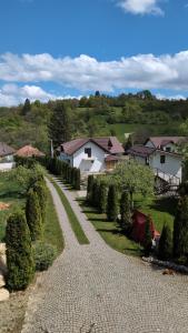 a gravel road with trees and houses in the background at Casa Letca montain in Sohodol