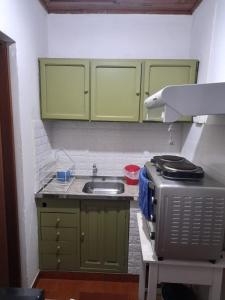 a kitchen with green cabinets and a sink at Dpto Céntrico con Balcón Dpto 1 in Puerto Iguazú