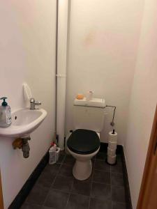 Un baño pequeño con inodoro y lavabo. en SiSEL HOUSE avaible with garden for 6 or more people!, en Temse