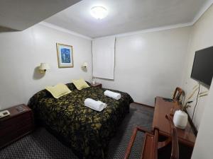 um quarto de hotel com uma cama e uma TV em Hotel Presidente em San Miguel de Tucumán