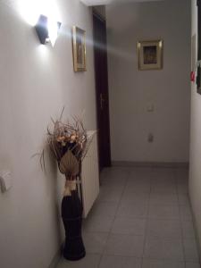 Fotografie z fotogalerie ubytování Hostal Les Collades v destinaci Sort