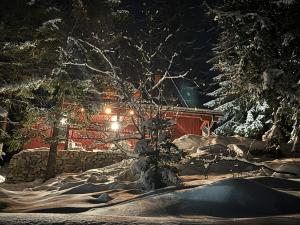 a snow covered yard with a house at night at Mountain Mia in Šišava