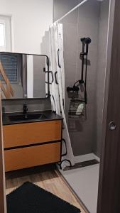 un bagno con lavandino e doccia di Le petit havre a Igornay