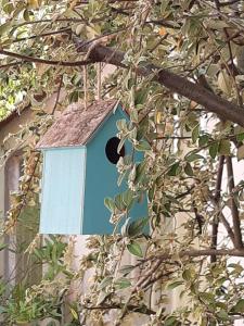 a blue bird house with a hole in a tree at Studio Trocadero 2p coté jardin in Rosny-sous-Bois