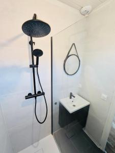 a bathroom with a shower and a sink at La Petite Maison du Moulin in Salviac +10 photos