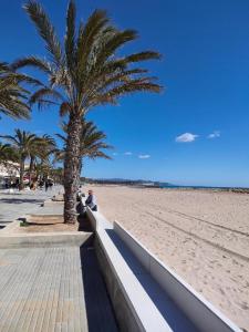 a palm tree sitting next to a sandy beach at For Sea Lovers in Cubelles