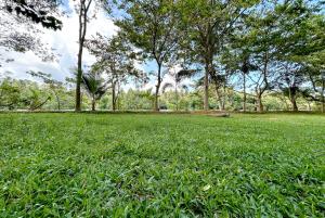 Zahrada ubytování O2 Villas-Weligama