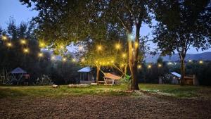 Κήπος έξω από το Casita de Montaña