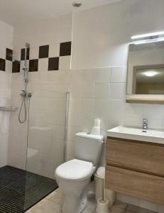 a bathroom with a toilet and a shower and a sink at Gîte de charme à la Ferme de Bonavis 125 M2 in Banteux