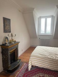 Gallery image of Beautiful Master House Louhans center in Louhans