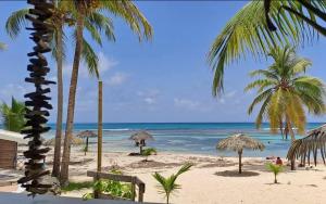 a beach with some palm trees and the ocean at Chamb'Bouchons in Saint-François