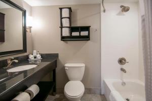 a bathroom with a toilet and a sink and a tub at King Bed Hotel Room 124 in Jackson