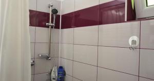 La salle de bains est pourvue d'une douche et de carrelage rouge et blanc. dans l'établissement Casa Coralis, à Călimăneşti 35 autres photos
