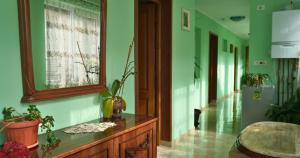 un couloir avec des murs verts, une fenêtre et des plantes dans l'établissement Casa Coralis, à Călimăneşti