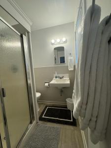 a bathroom with a shower and a sink and a toilet at Holiday Lodge Cabins in Banff