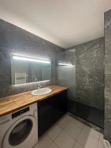 Koupelna v ubytování Bel appartement lumineux avec balcon 1 chambre