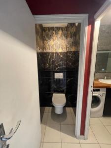 Koupelna v ubytování Bel appartement lumineux avec balcon 1 chambre