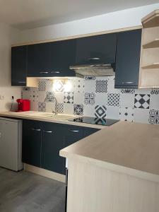 Kuchyň nebo kuchyňský kout v ubytování Bel appartement lumineux avec balcon 1 chambre