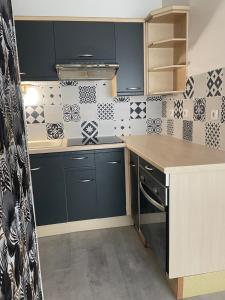 Kuchyň nebo kuchyňský kout v ubytování Bel appartement lumineux avec balcon 1 chambre