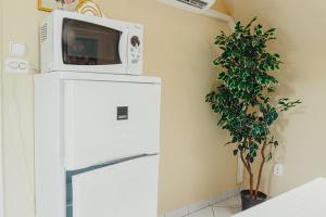 A kitchen or kitchenette at Bianka Apartman