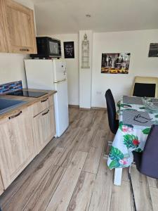 Η κουζίνα ή μικρή κουζίνα στο Appart des Lions