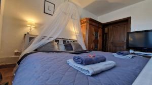 Galería fotográfica de Penzion Villa Verde Moravia en Klentnice