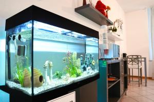 Kuchyň nebo kuchyňský kout v ubytování SMART HOTEL