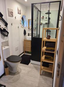 a bathroom with a toilet and a shower and a sink at Maison avec Jardin en bord de rivière in Fresnay-sur-Sarthe +11 photos