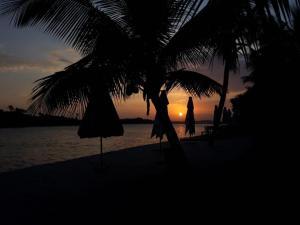 a sunset on a beach with a palm tree and umbrellas at River House in Marau +8 photos