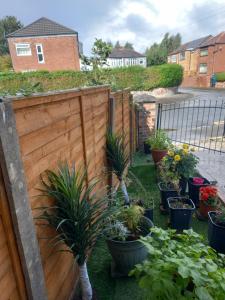 a garden with potted plants and a wooden fence at Morgan Ease in Manchester