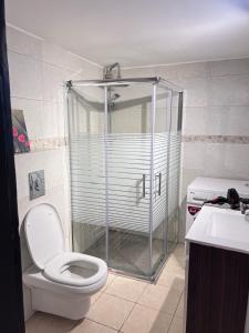 a bathroom with a shower and a toilet and a sink at Byout Beirut G3 in Beirut +37 photos
