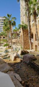un resort con palme e un edificio di Grand Solmar Land's End Resort De Lujo Los Cabos a Cabo San Lucas