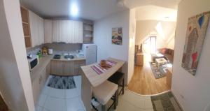 Kuchyň nebo kuchyňský kout v ubytování Apartment Invictus Mavrovo