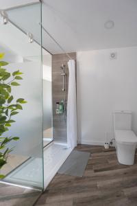 ein Badezimmer mit Glasdusche und Toilette in der Unterkunft O REMANSO do CORGO in Oleiros