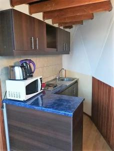 a kitchen with a counter with a microwave and a sink at Chiloe Domos in Huenao