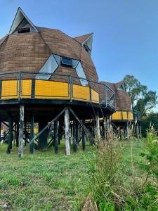 a house on top of a wooden structure at Chiloe Domos in Huenao