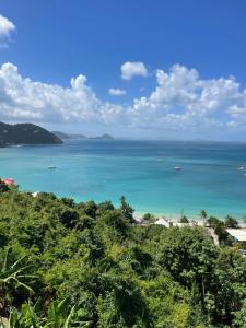 Fotografie z fotogalerie ubytování Bay View Villa v destinaci Tortola Island