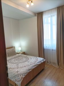 a bedroom with a bed and a large window at Carolina in Alba Iulia