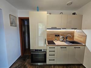 Kuchyň nebo kuchyňský kout v ubytování Apartmán U Bejka
